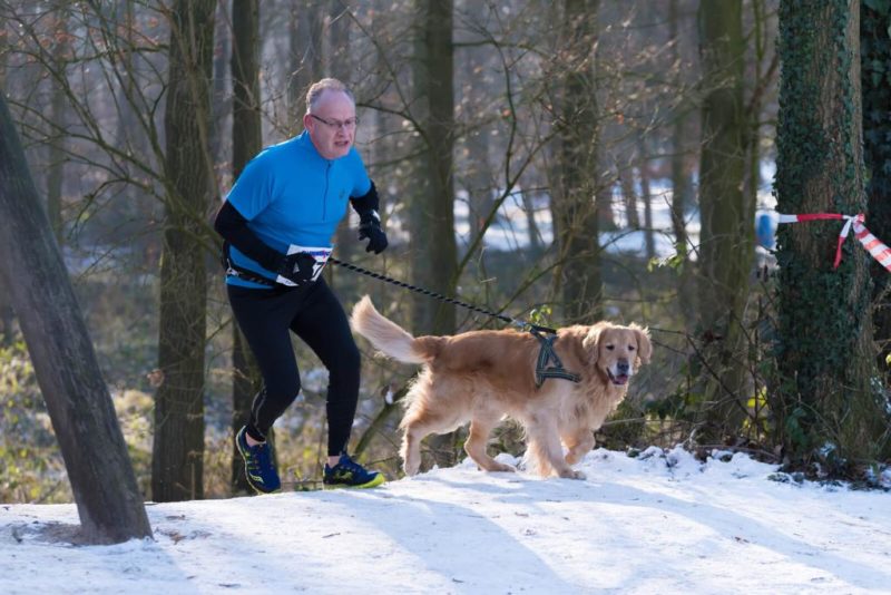Canicross Geländelauf mit Hund › guterHund.de