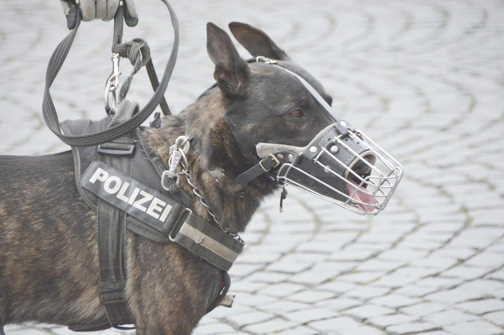 Schutzhunde › guterHund.de
