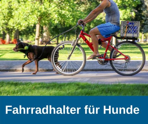 Fahrradhalterung Hund › guterHund.de