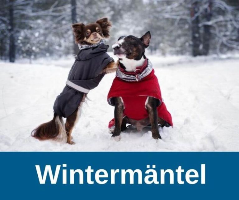 Wintermantel › guterHund.de