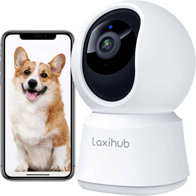 Hundekamera mit App von LAXIHUB